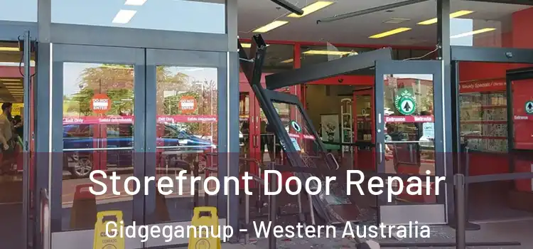 Storefront Door Repair Gidgegannup - Western Australia