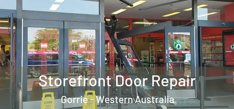 Storefront Door Repair Gorrie - Western Australia