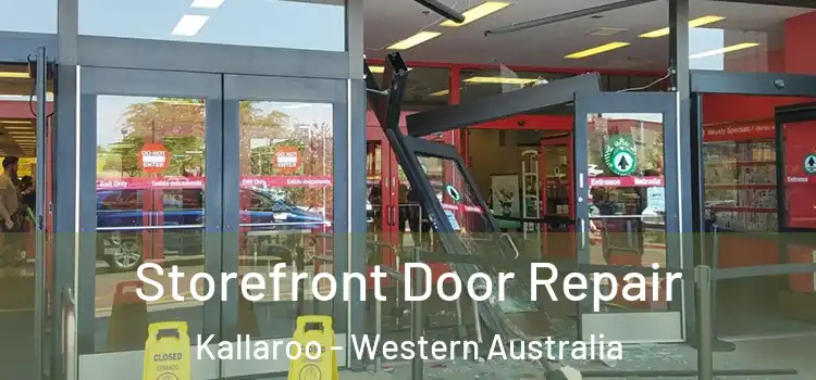 Storefront Door Repair Kallaroo - Western Australia