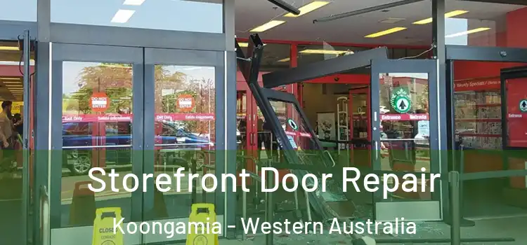 Storefront Door Repair Koongamia - Western Australia