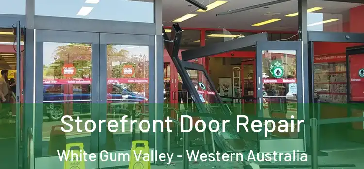 Storefront Door Repair White Gum Valley - Western Australia